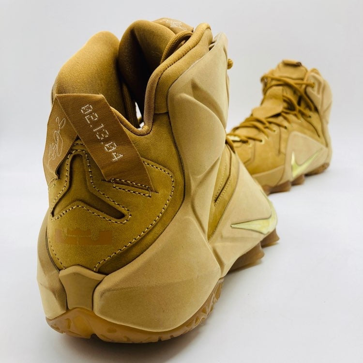 Nike Lebron 12 EXT Trigo (UA)