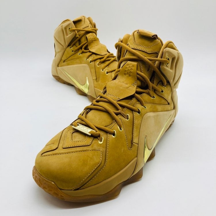 Nike Lebron 12 EXT Trigo (UA)