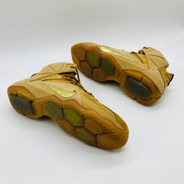 Nike Lebron 12 EXT Trigo (UA)