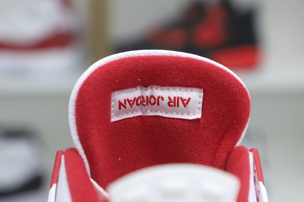 Air Jordan 4 Retro Alternate 89