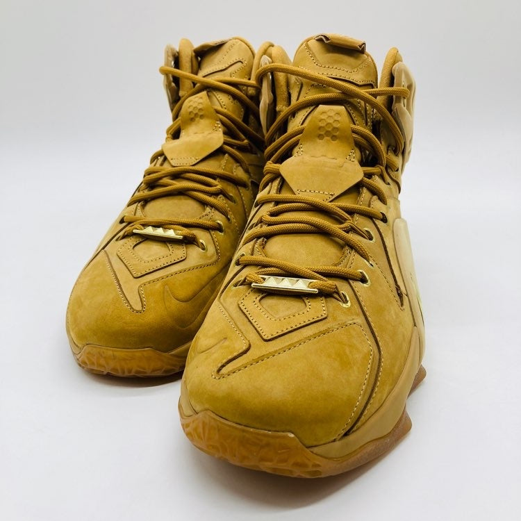 Nike Lebron 12 EXT Trigo (UA)