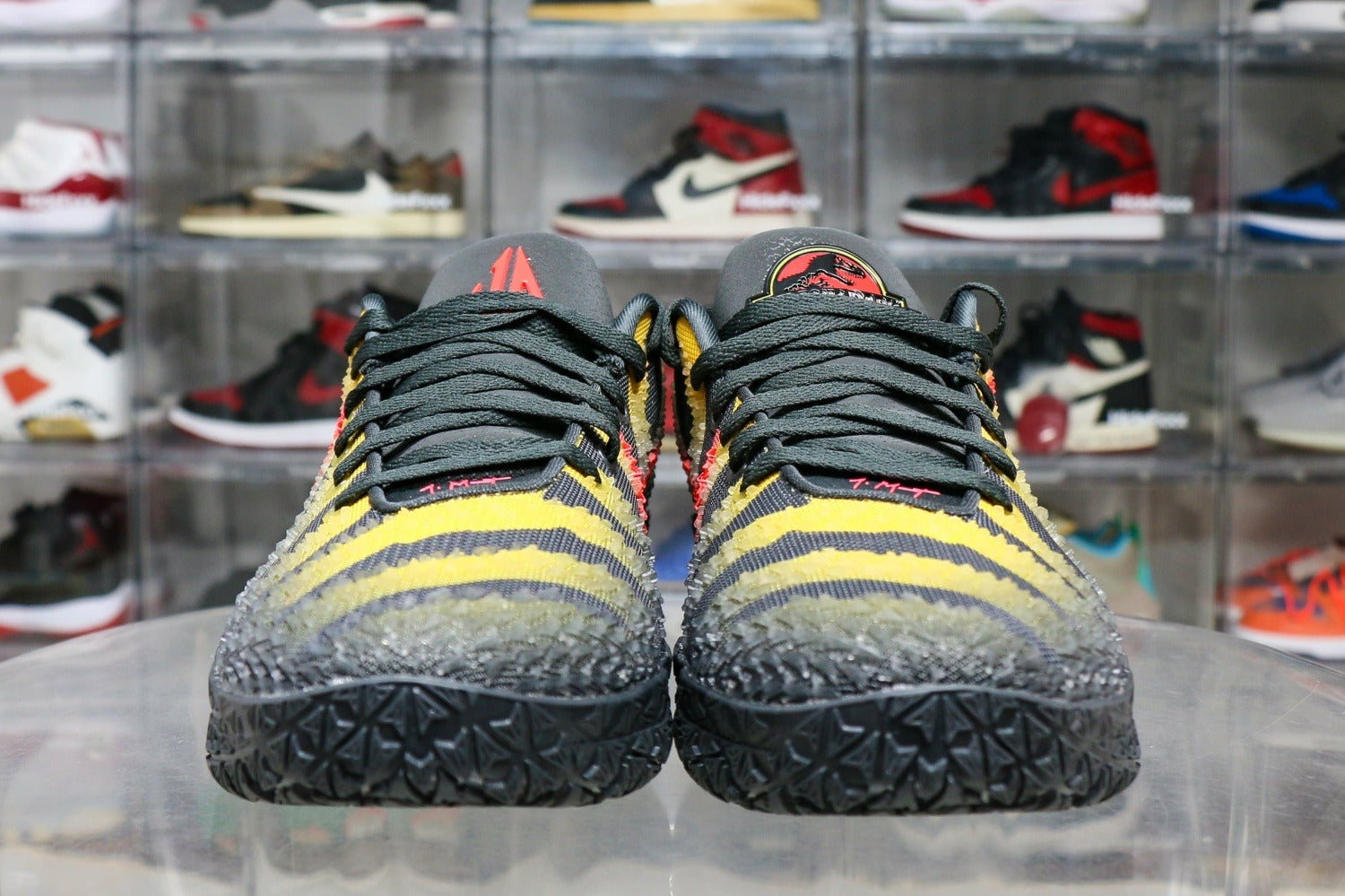 Nike Ja 3 Jurassic Park Antracite (UA)