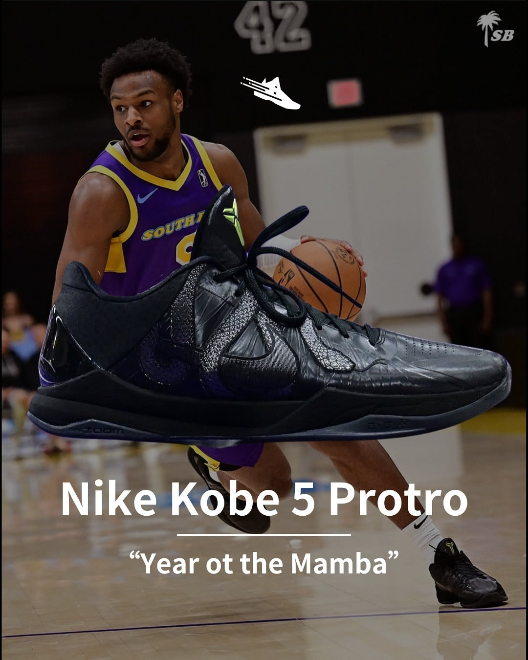 Nike Kobe 5 Protro “Year of the Mamba” Triple Black (UA)