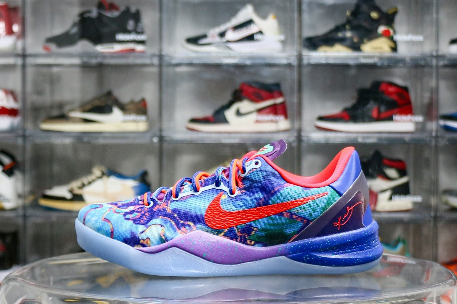 Nike Kobe 8 Protro What The (UA)