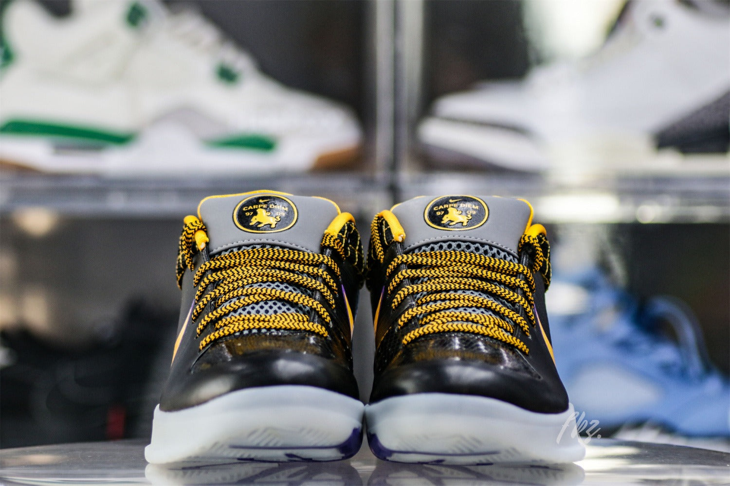 Nike Kobe 4 Protro Carpe Diem (UA)
