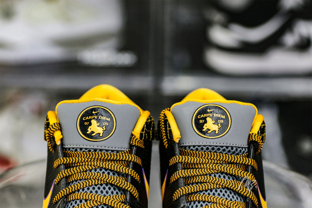Nike Kobe 4 Protro Carpe Diem (UA)