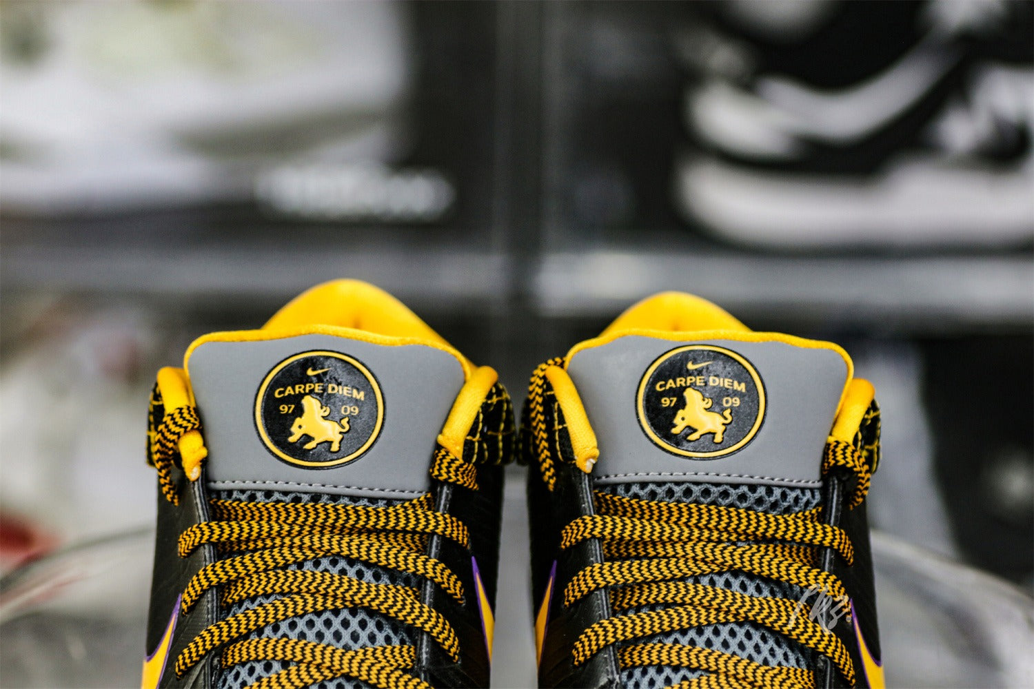 Nike Kobe 4 Protro Carpe Diem (UA)
