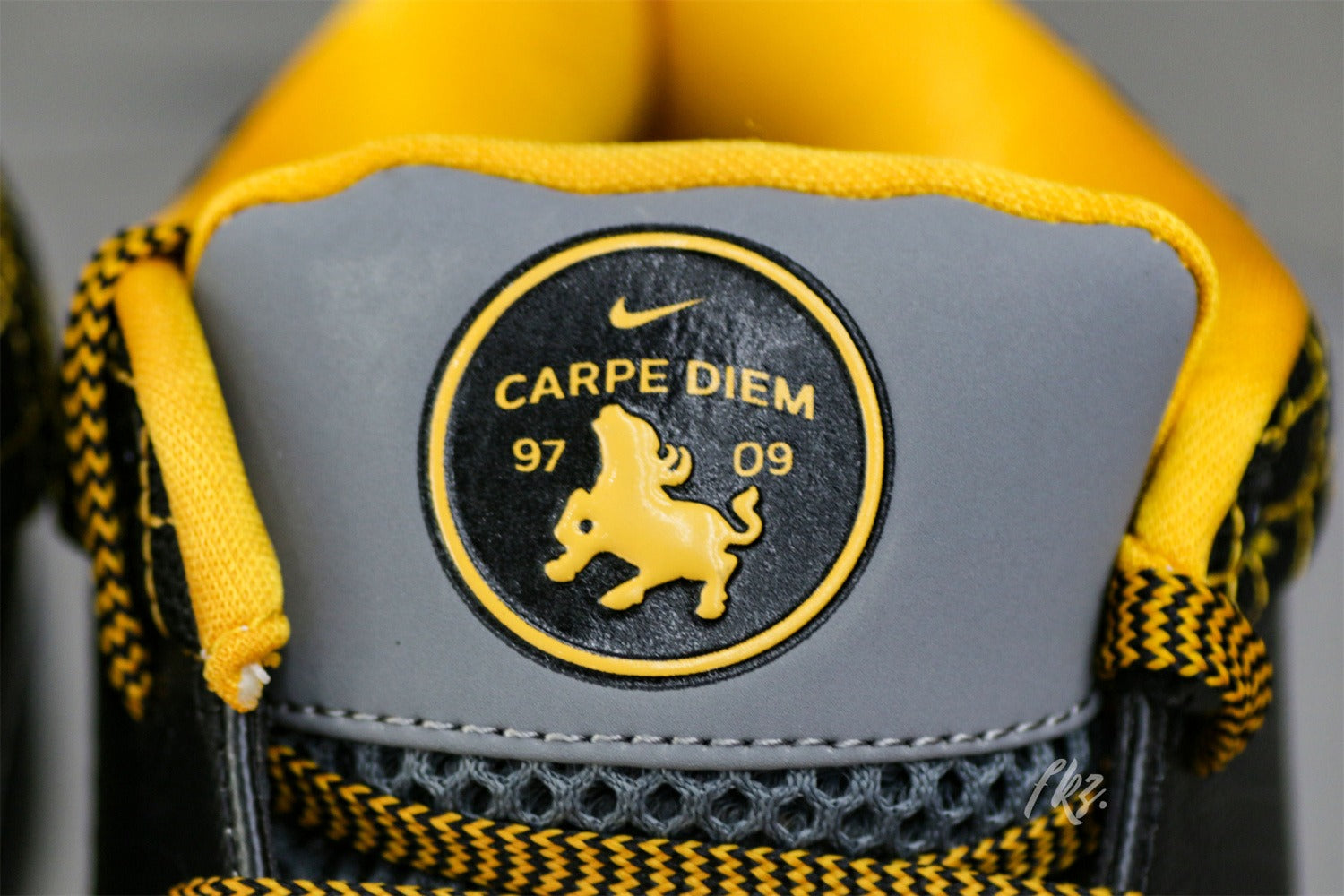 Nike Kobe 4 Protro Carpe Diem (UA)