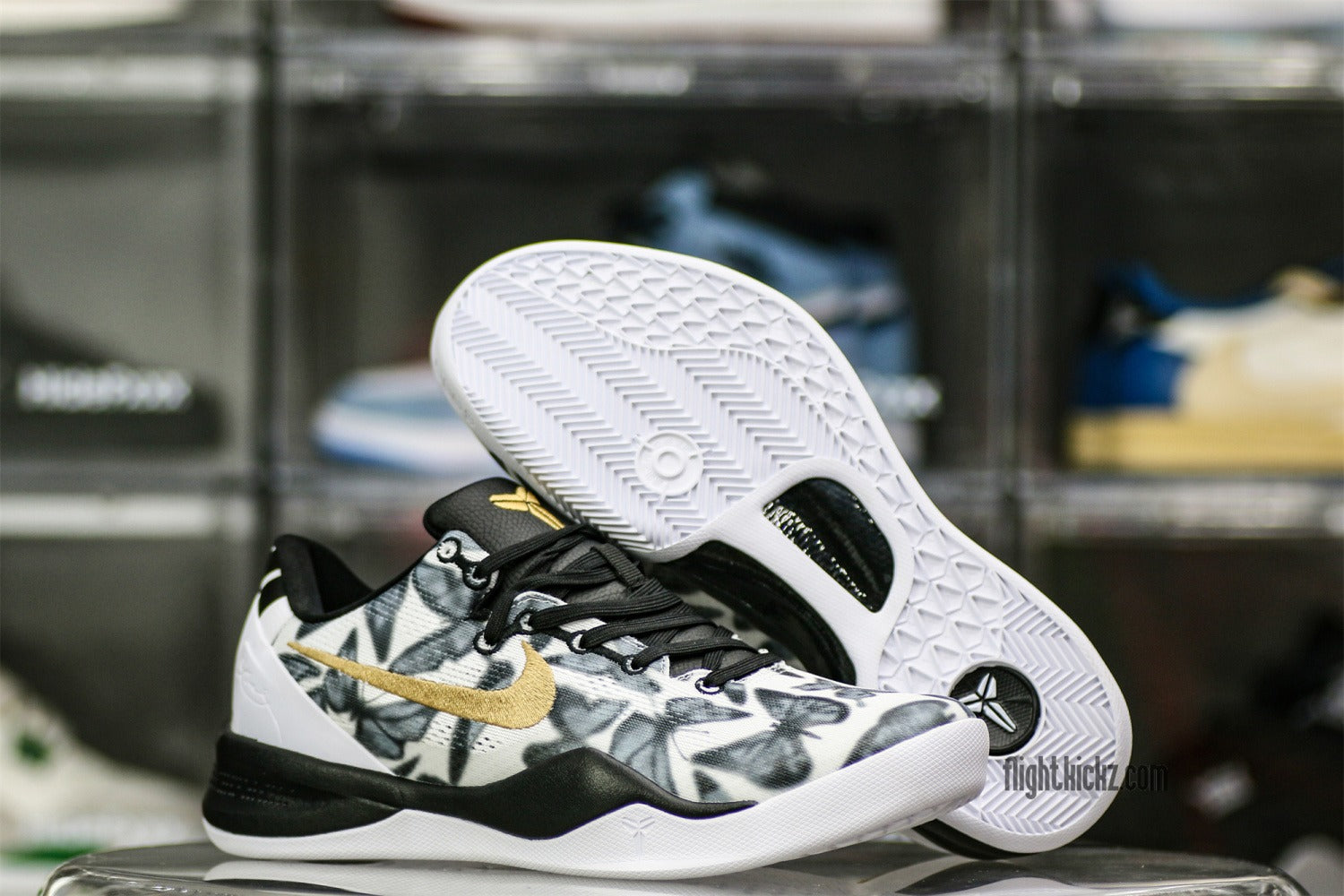 Nike Kobe 8 Protro “Mambacita” (UA)