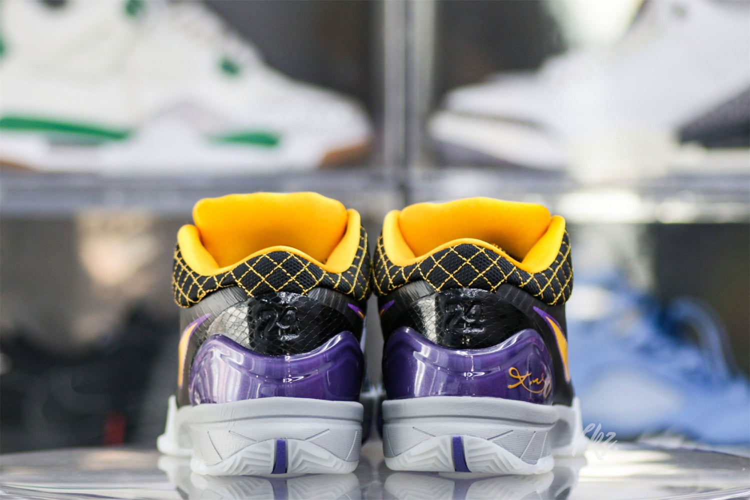Nike Kobe 4 Protro Carpe Diem (UA)